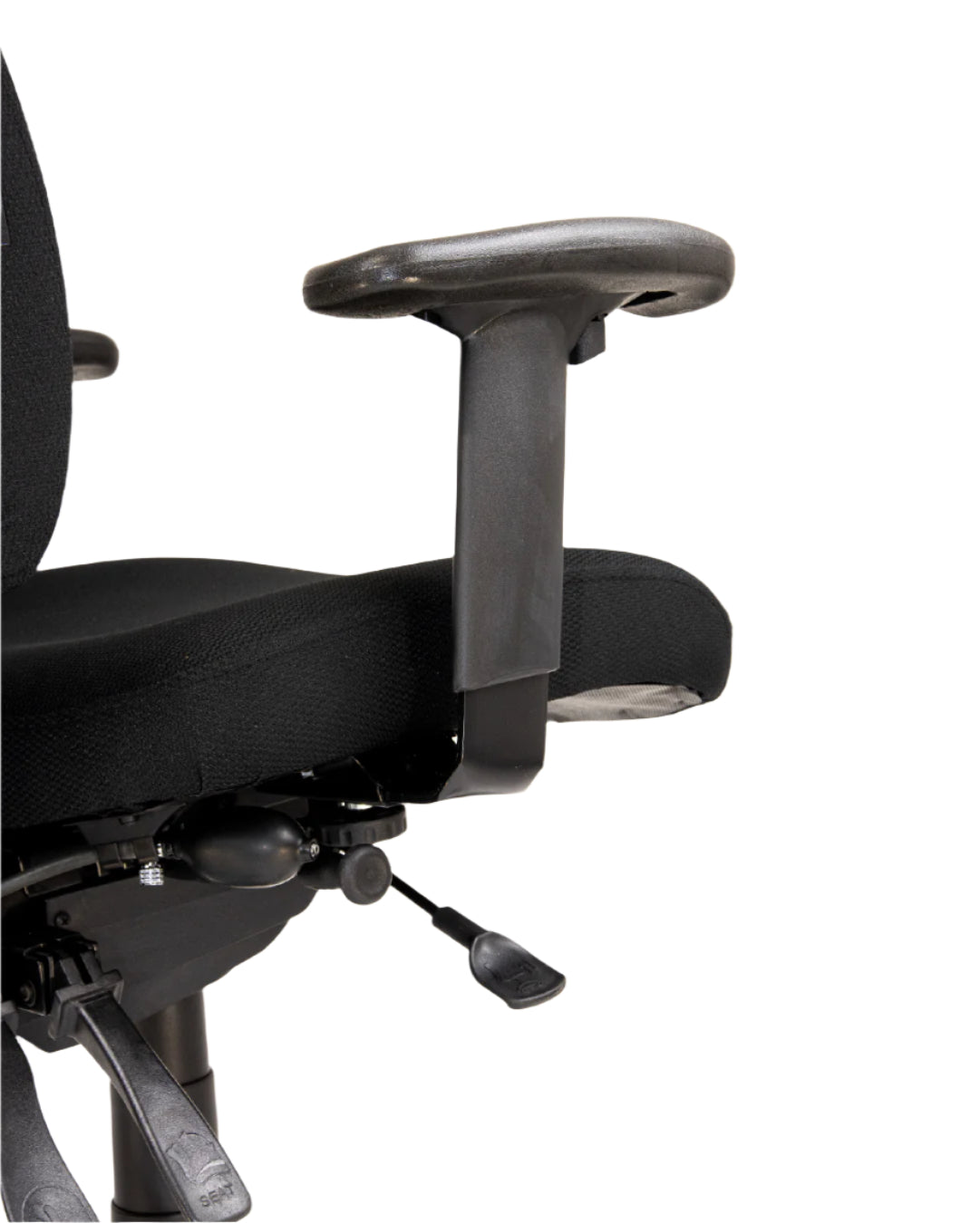 Celeste High Back with Pump Up Lumbar