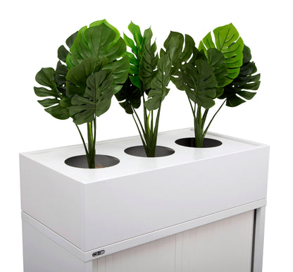 GO Planter Boxes