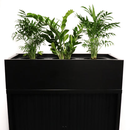 GO Planter Boxes