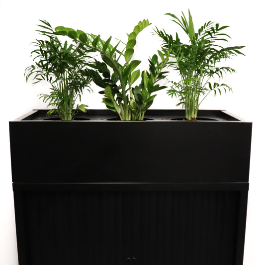 GO Planter Boxes