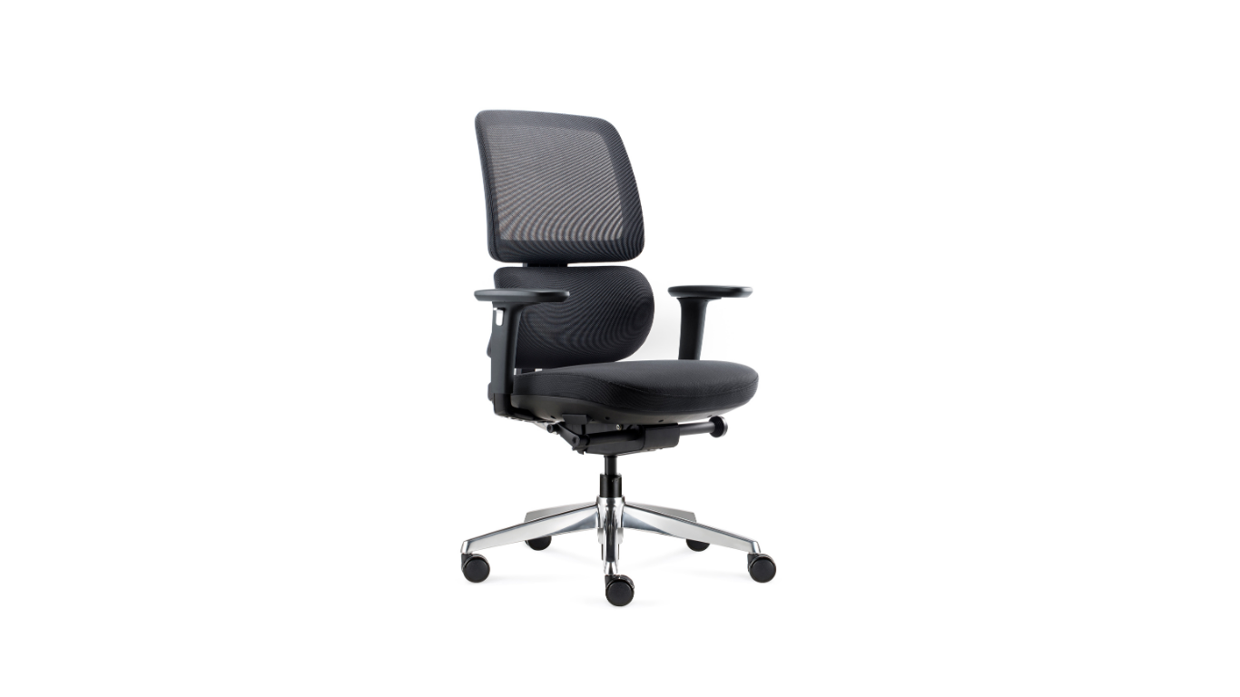 Orca Chair