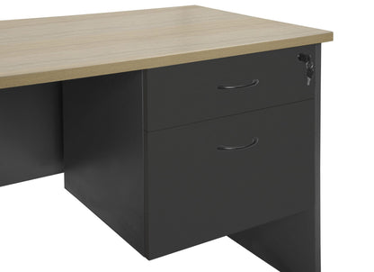 Rapid Worker Fixed Pedestal